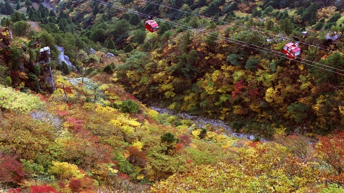 【御在所ロープウェイ往復乗車券付】お料理も選べる♪ちょっとお得に湯の山の空中散歩を満喫プラン！！